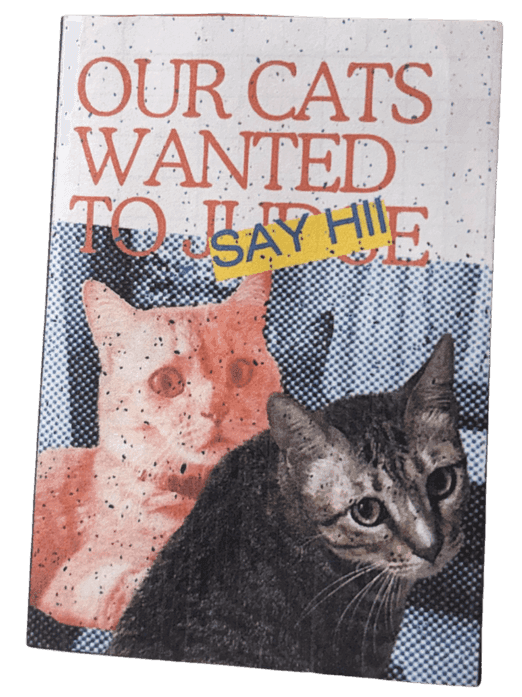 Our Cats Wanted zine